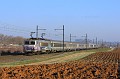 BB 22316